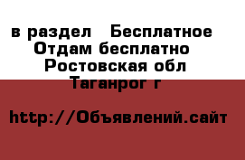  в раздел : Бесплатное » Отдам бесплатно . Ростовская обл.,Таганрог г.